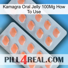 Kamagra Oral Jelly 100Mg How To Use 27